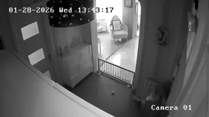 Caméra IP - Géorgie