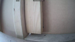 Caméra IP - Australia