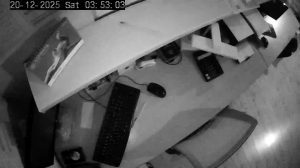 Caméra IP - Russian Federation