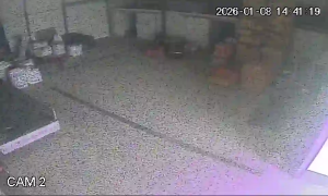 Caméra IP - Portogallo