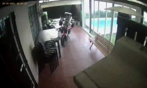 Caméra IP - Argentina