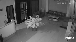 Caméra IP - Vietnam