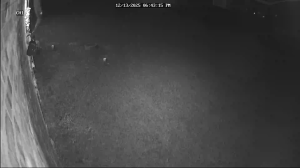 Caméra IP - États-Unis d'Amérique