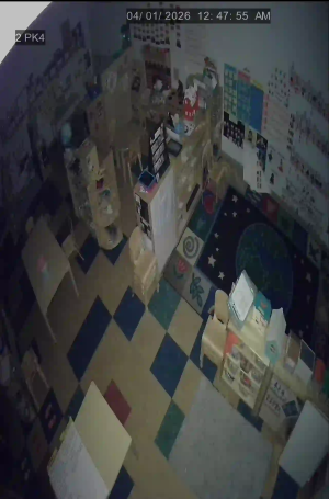 Caméra IP - United States of America