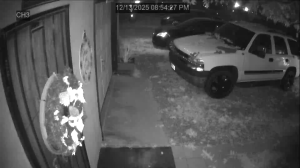 Caméra IP - Stati Uniti d'America