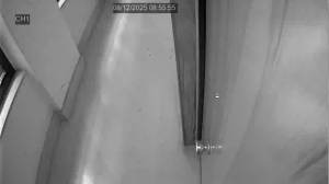 Caméra IP - Italien