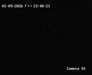 Caméra IP - United Kingdom