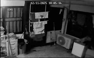 Caméra IP - Suriname