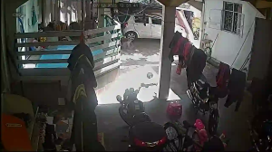 Caméra IP - Mauritius