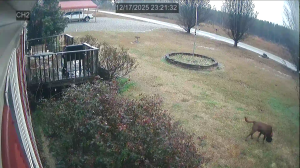 Caméra IP - United States of America