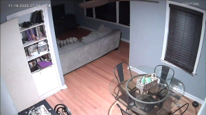 Caméra IP - États-Unis d'Amérique