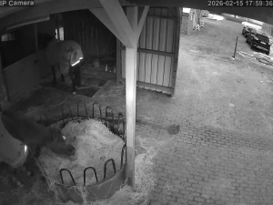 Caméra IP - Deutschland