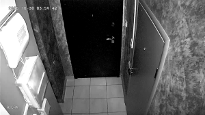 Caméra IP - Russian Federation