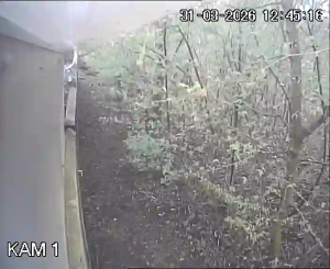 Caméra IP - Netherlands