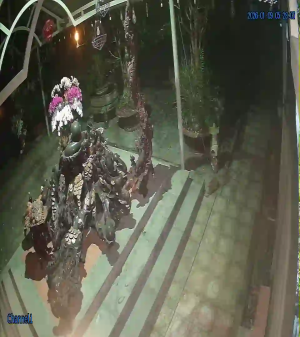 Caméra IP - Vietnam