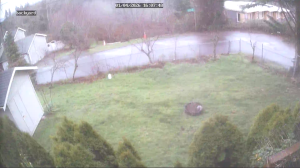 Caméra IP - États-Unis d'Amérique