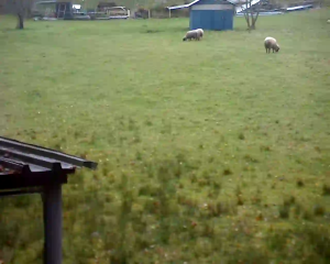 Caméra IP - Allemagne