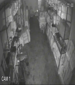 Caméra IP - Indonesia