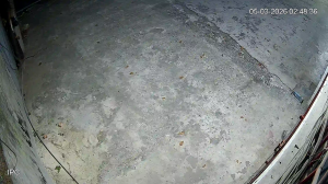 Caméra IP - Indonesia