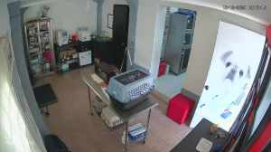 Caméra IP - Mexique