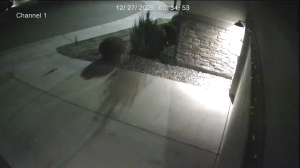 Caméra IP - United States of America