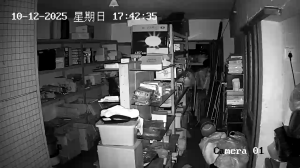 Caméra IP - China