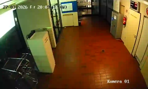 Caméra IP - Germany