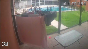 Caméra IP - Argentina