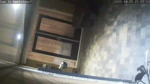 Caméra IP - Países Bajos