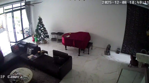 Caméra IP - Singapour