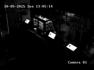 Caméra IP - États-Unis d'Amérique