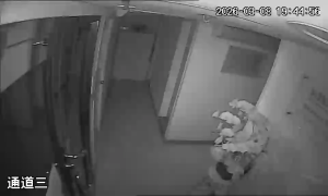 Caméra IP - Hong Kong