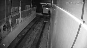 Caméra IP - South Korea