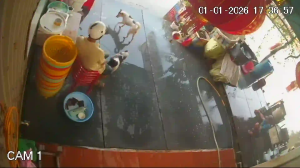 Caméra IP - Vietnam