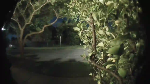 Caméra IP - Australia