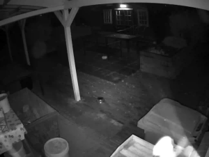 Caméra IP - Pays-Bas