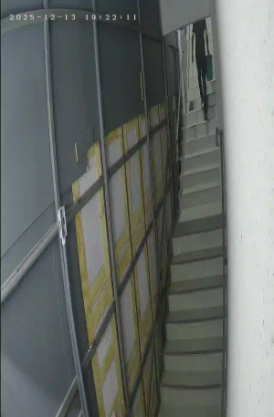 Caméra IP - Brésil