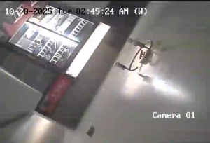 Caméra IP - Canadá