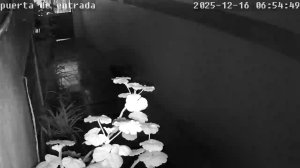 Caméra IP - Spanien