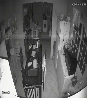 Caméra IP - Argentina