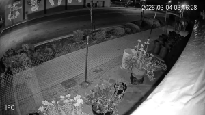 Caméra IP - United States of America