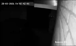 Caméra IP - Allemagne