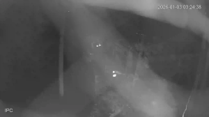 Caméra IP - Vietnam