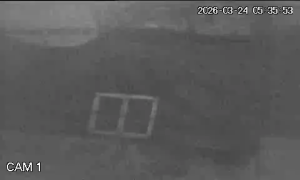 Caméra IP - Sudafrica