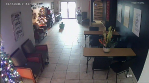 Caméra IP - États-Unis d'Amérique