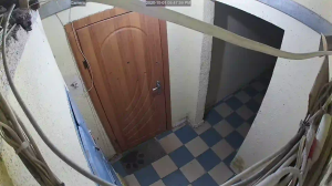 Caméra IP - Ucrania