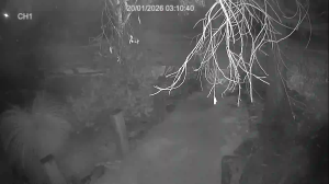 Caméra IP - Australia