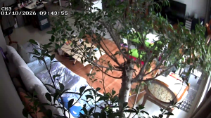 Caméra IP - República de Corea