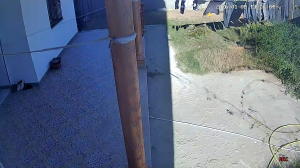 Caméra IP - Tunesien