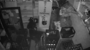 Caméra IP - Germany